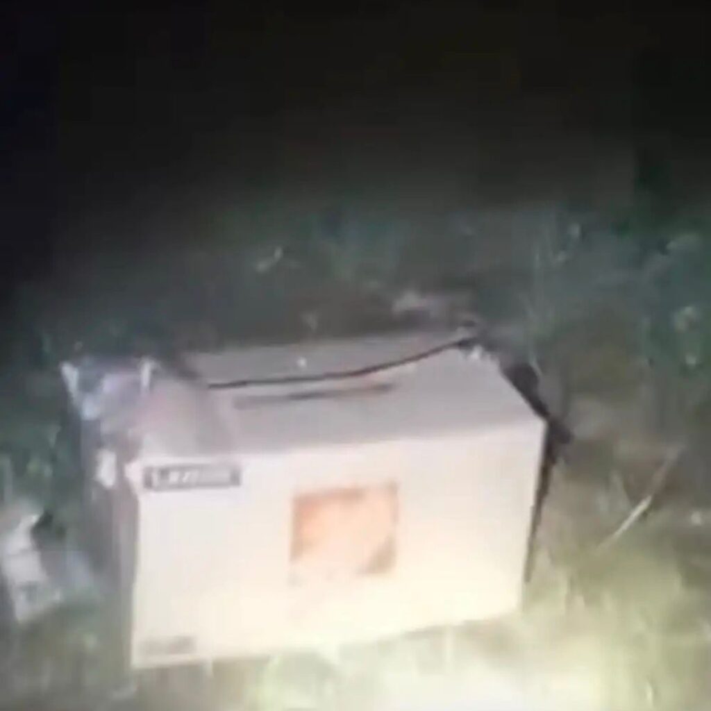 cardboard box on the ground