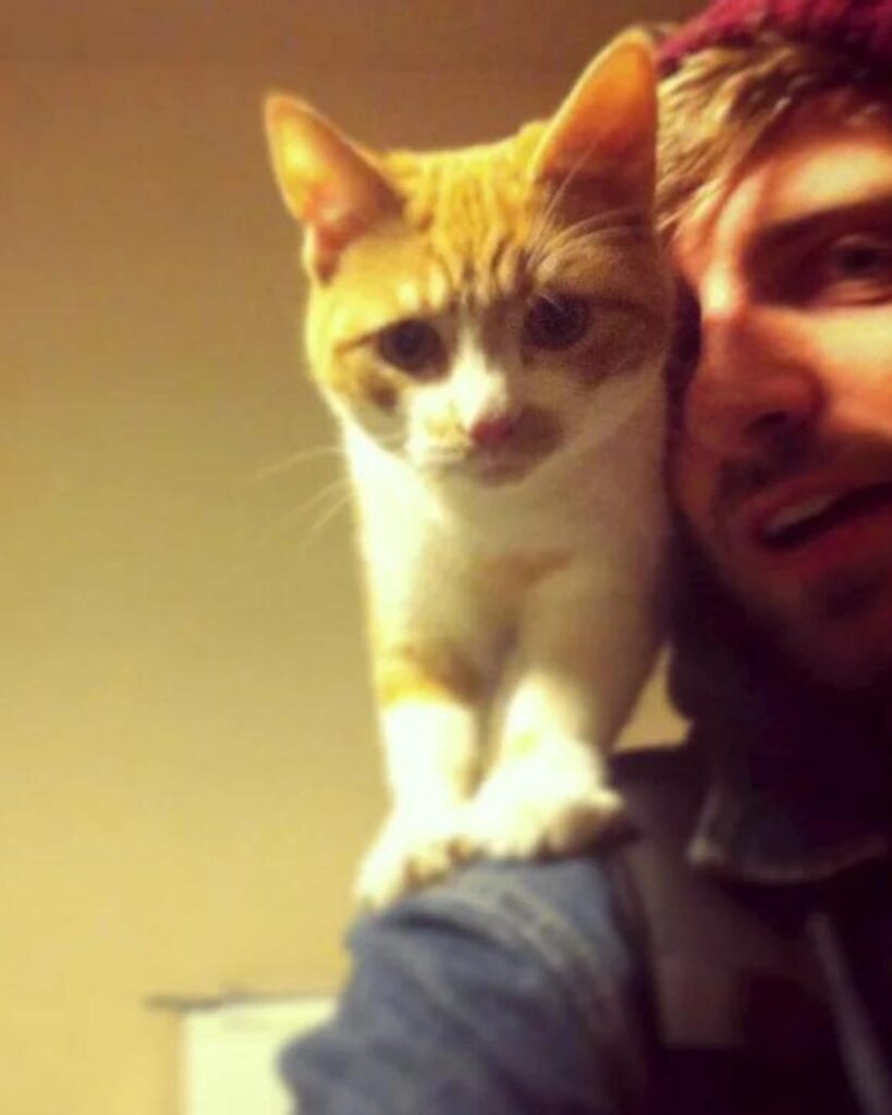 cat on a man's shoulder