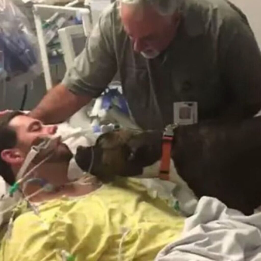 dog next to man on ventilator