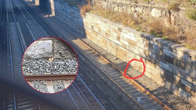 Woman Follows A Desperate Cry Near Station Tracks In New York And Finds A Heartbreaking Scene