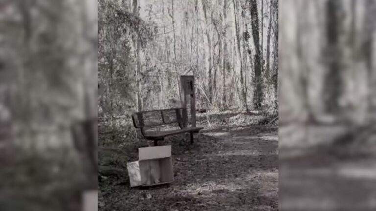 Man Spots A Cardboard Box In Utah Park, Opens It And Finds A ‘Precious Treasure’ Inside