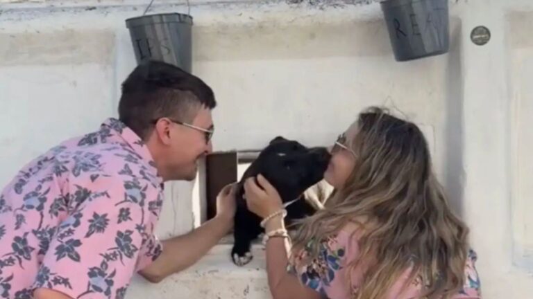 Tourists Stop To Admire A Boat In Florida, Then A Furry Face Pops Out And Steals Their Hearts
