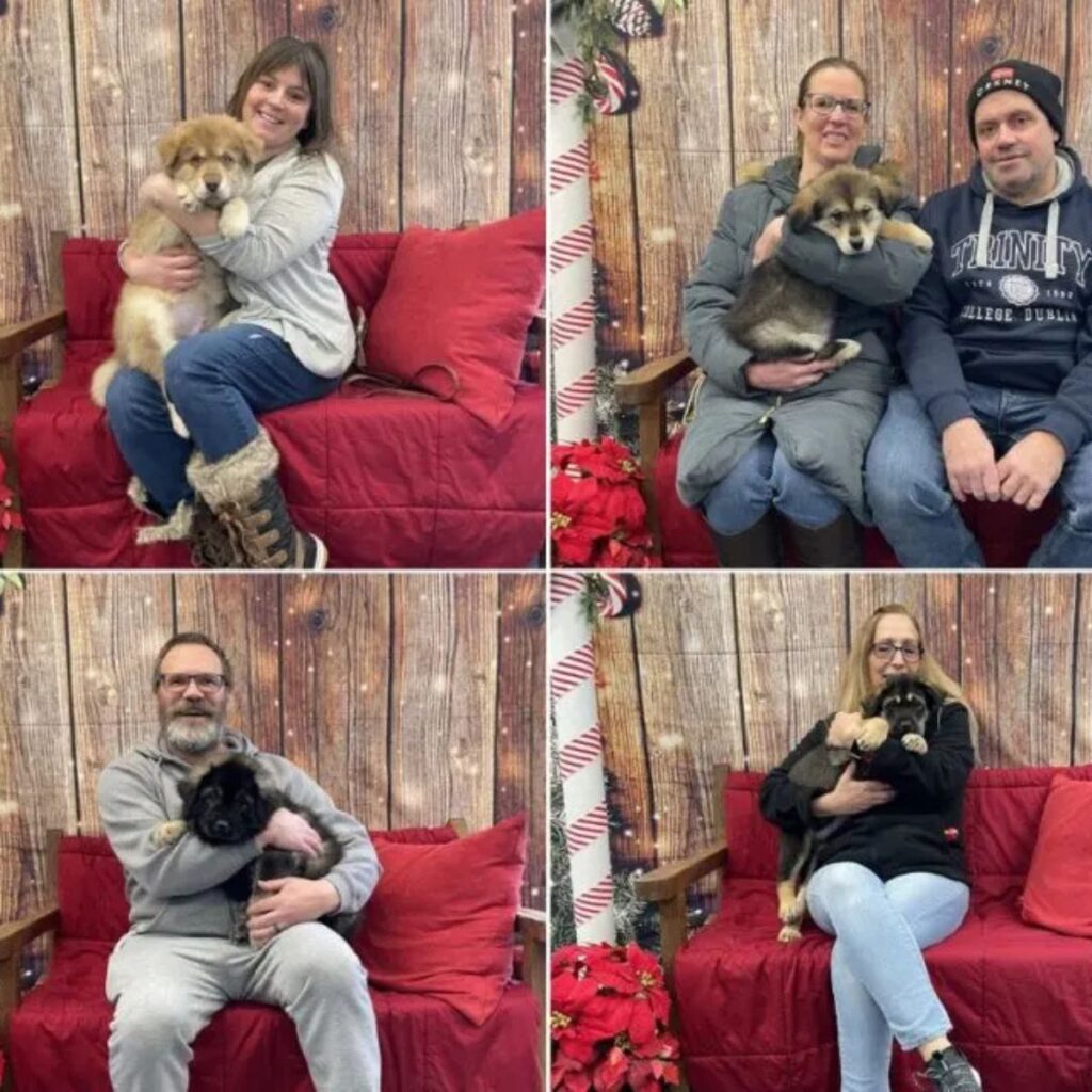 man and woman with puppies