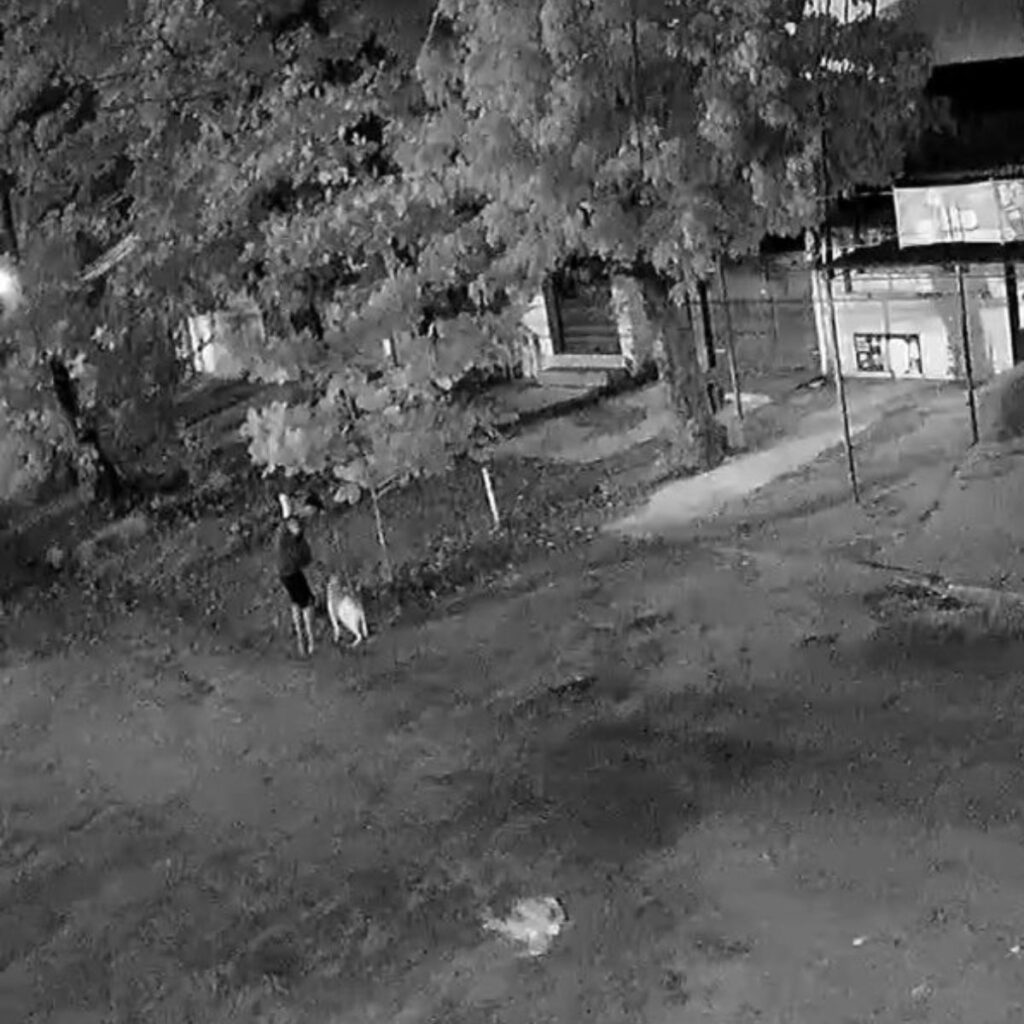 man with dog in the yard