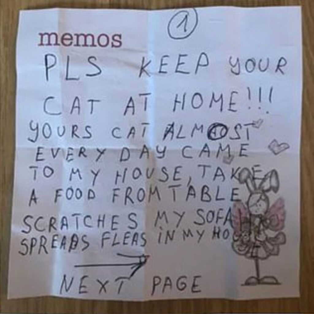 message about the cat