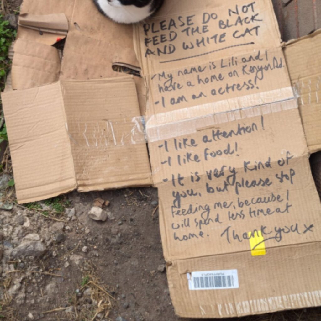 message written on cardboard