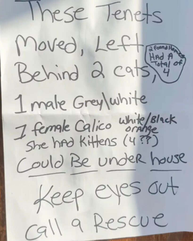 message written on paper