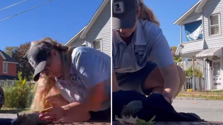 NY Mail Carrier Spots A Clump Of Fur On Storm Grate, Then Stops Cold As It Starts To Twitch