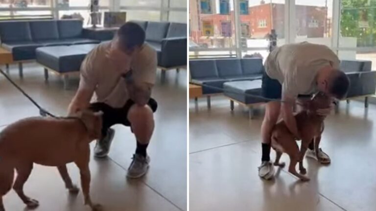 Ohio Rescuers Rejoice As Lost Dog Is Finally Reunited With His Dad After A Whole Year