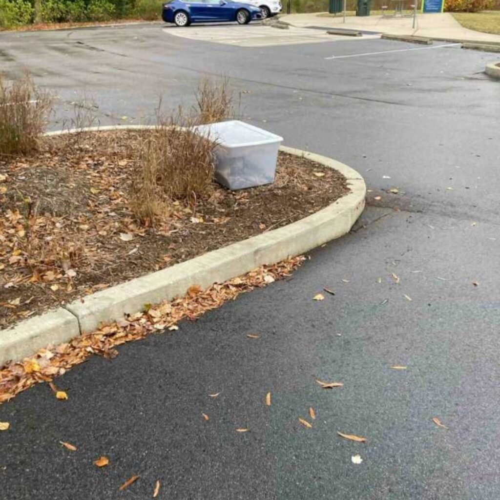 plastic box by the roadside