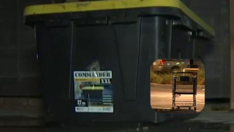 Las Vegas Store Worker Spots A Sealed Box In A Cart, Then A Twitching Little Nose Peeks Out