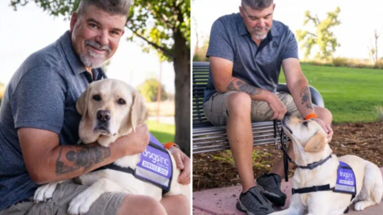 Service Dog In Florida Senses Danger And Saves His Owner’s Life For The Second Time