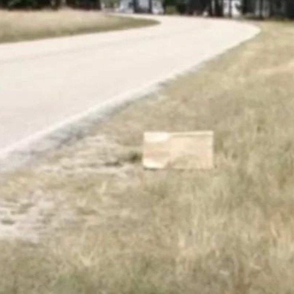 something by the wayside