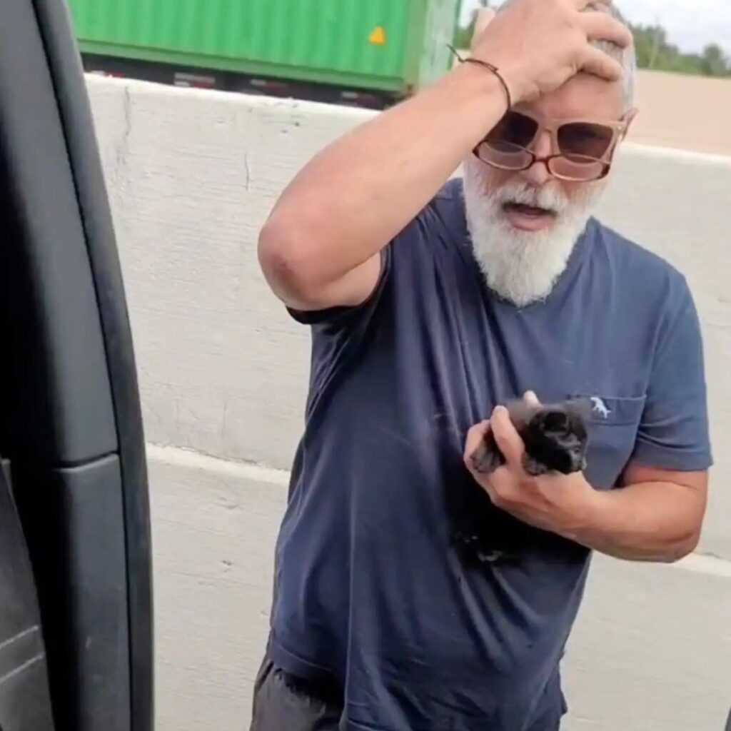 surprised man holding a black kitten in his hand