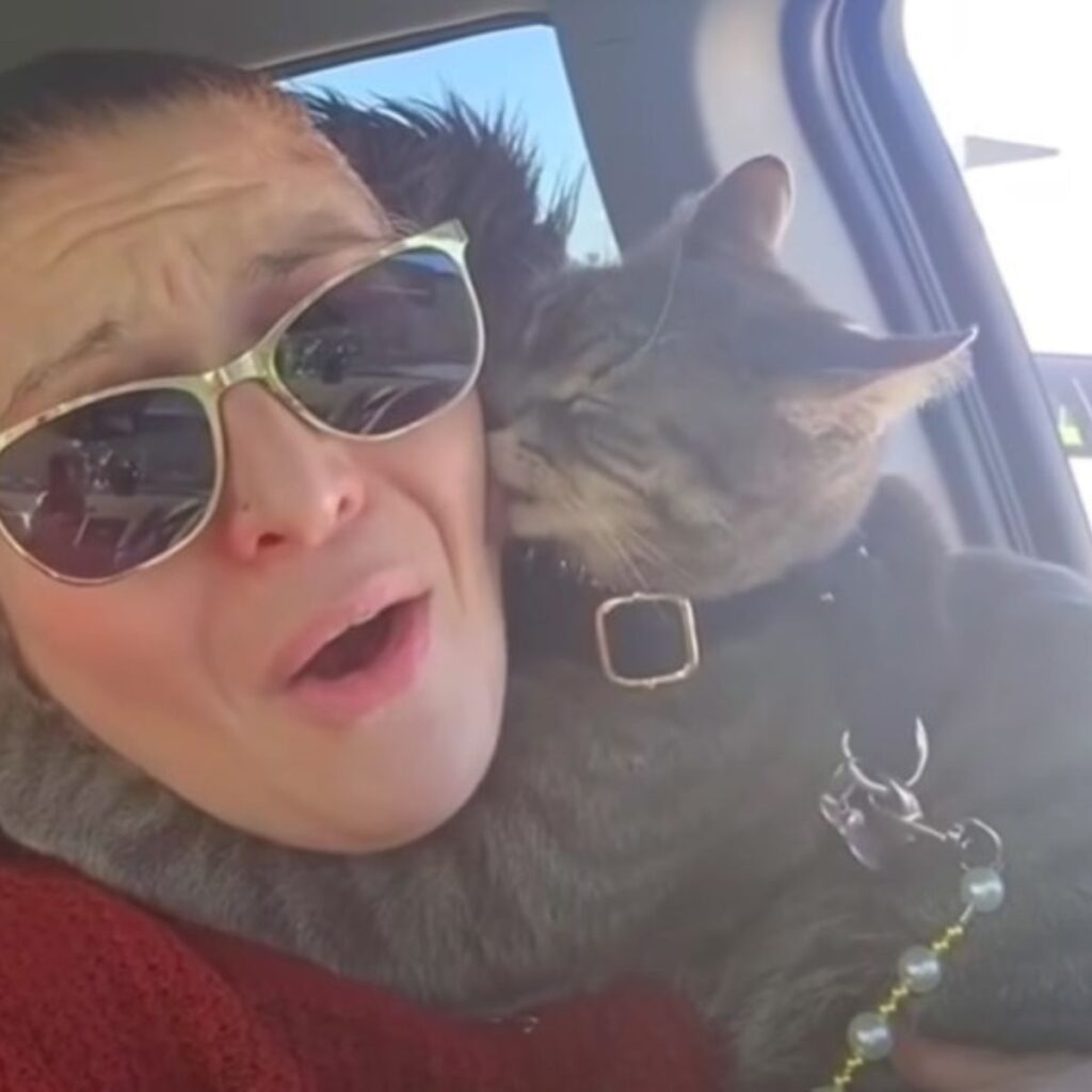 the cat kisses the woman
