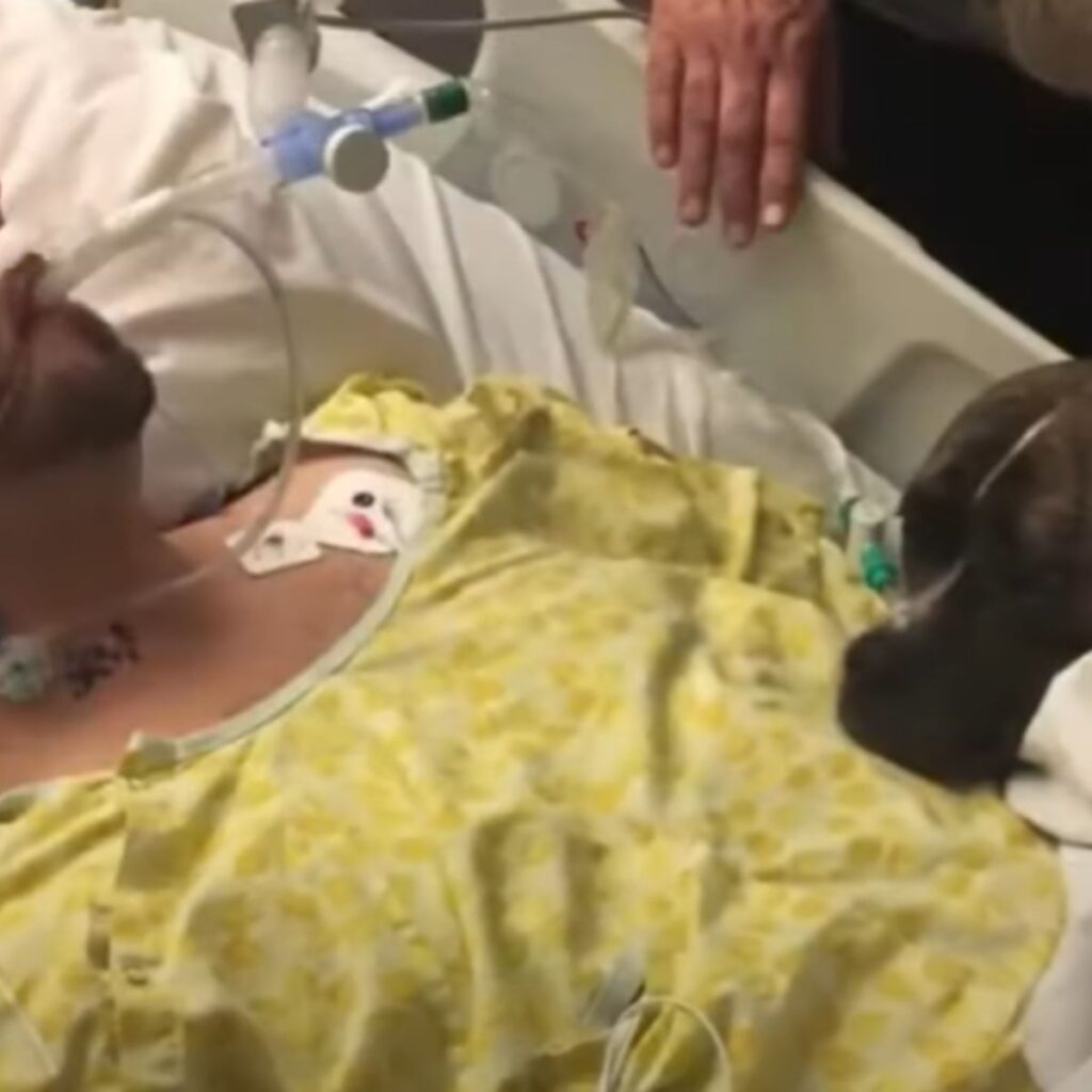 the dog is sniffing the man