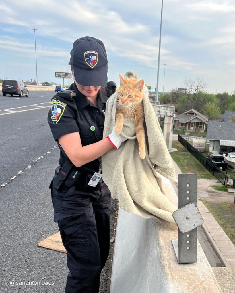 the policewoman is holding a cat wrapped in a towel