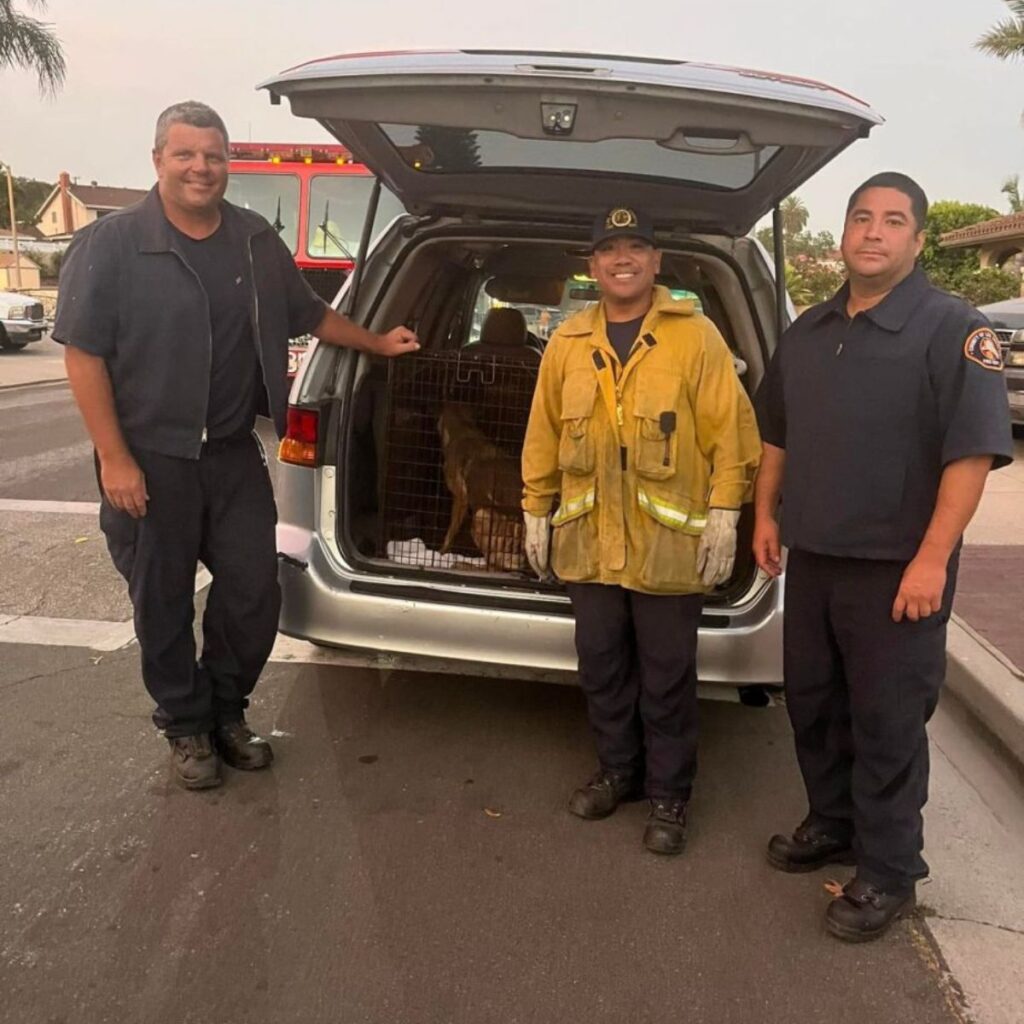 three men next to a car with a cage