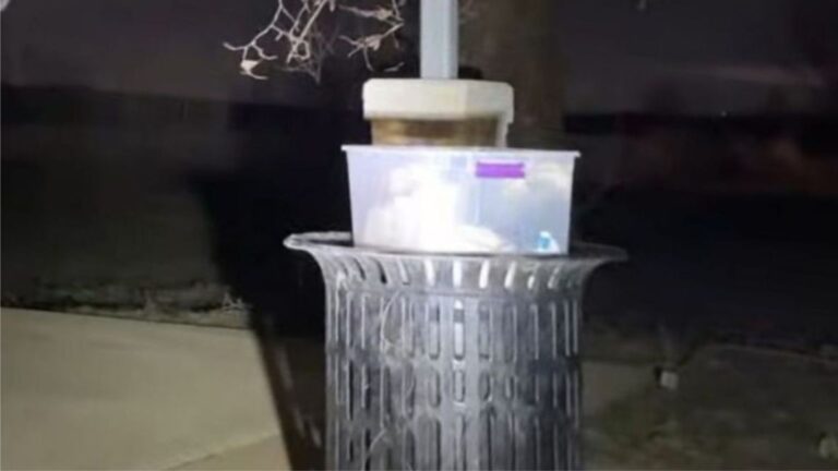 Driver Stops In His Tracks After Seeing A Movement Inside A Small Box On Trash Can In Missouri