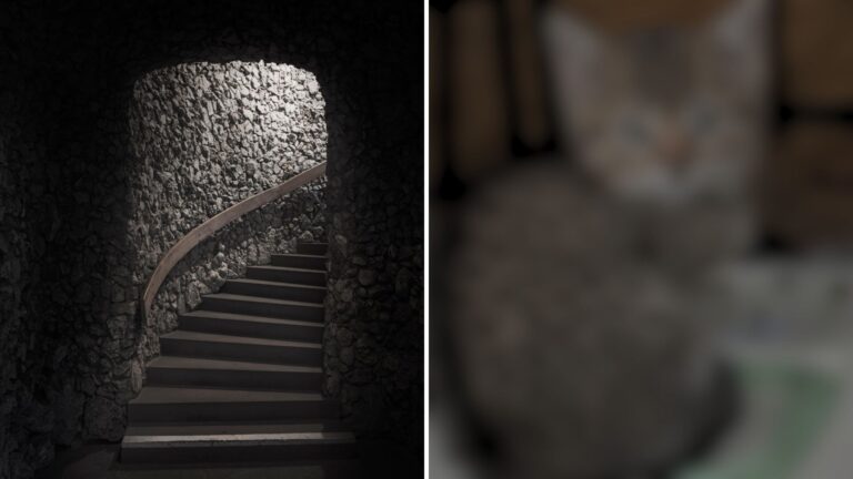 Mysterious Cries Lead Brooklyn Man To A Dark Basement And A Heartbreaking Discovery Inside