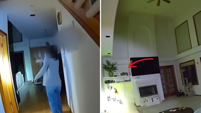 Colorado Woman Wakes Up At 4 A.M. To Terrifying Banging And Finds A Wild Visitor In Her Room