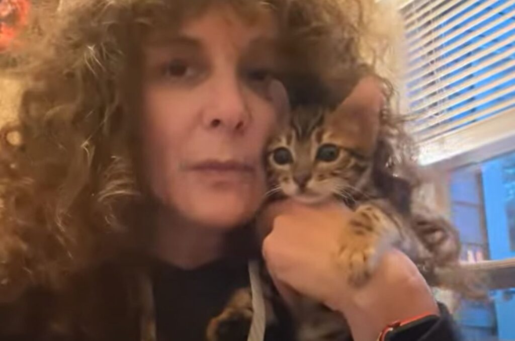woman holding a kitten