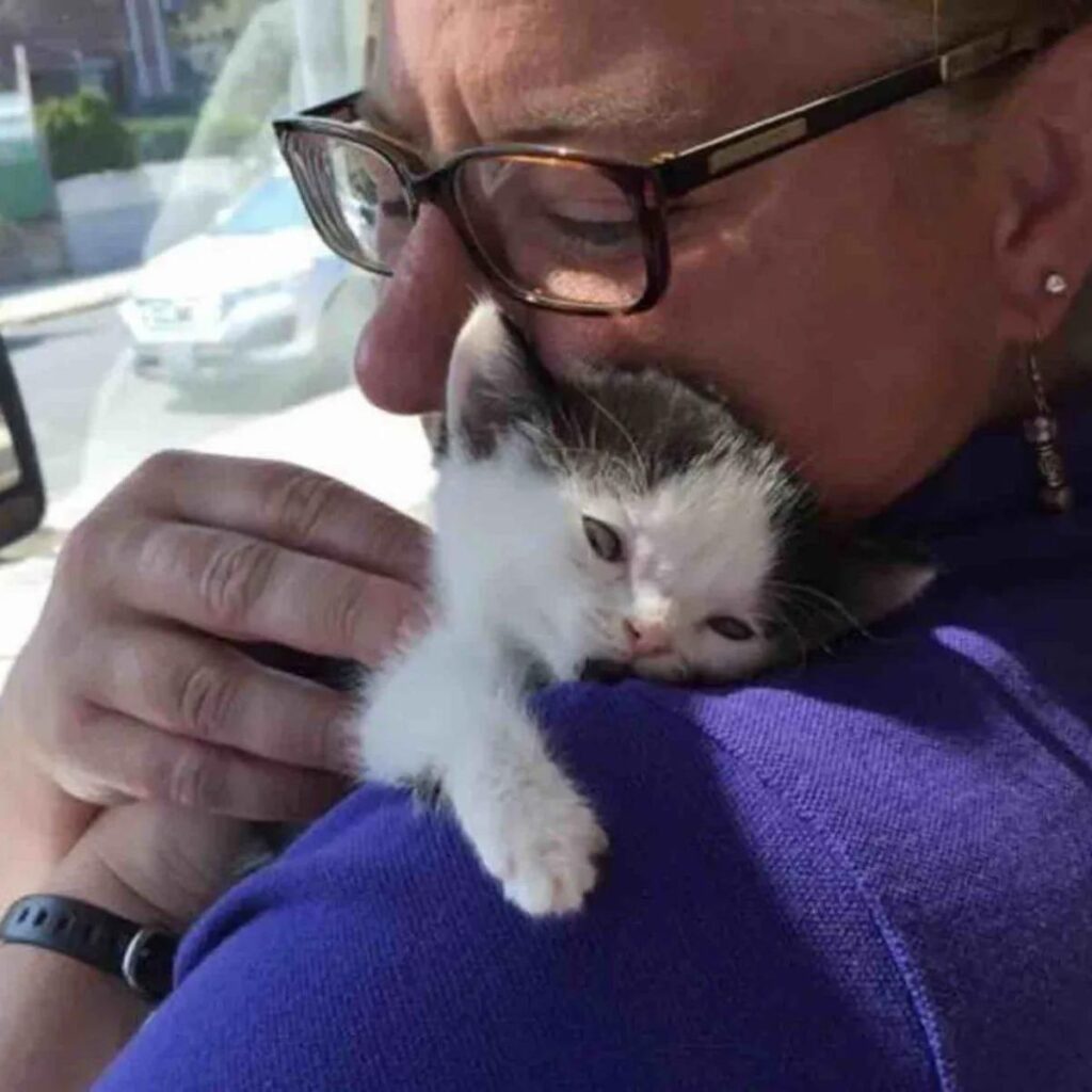 woman hugging kitten