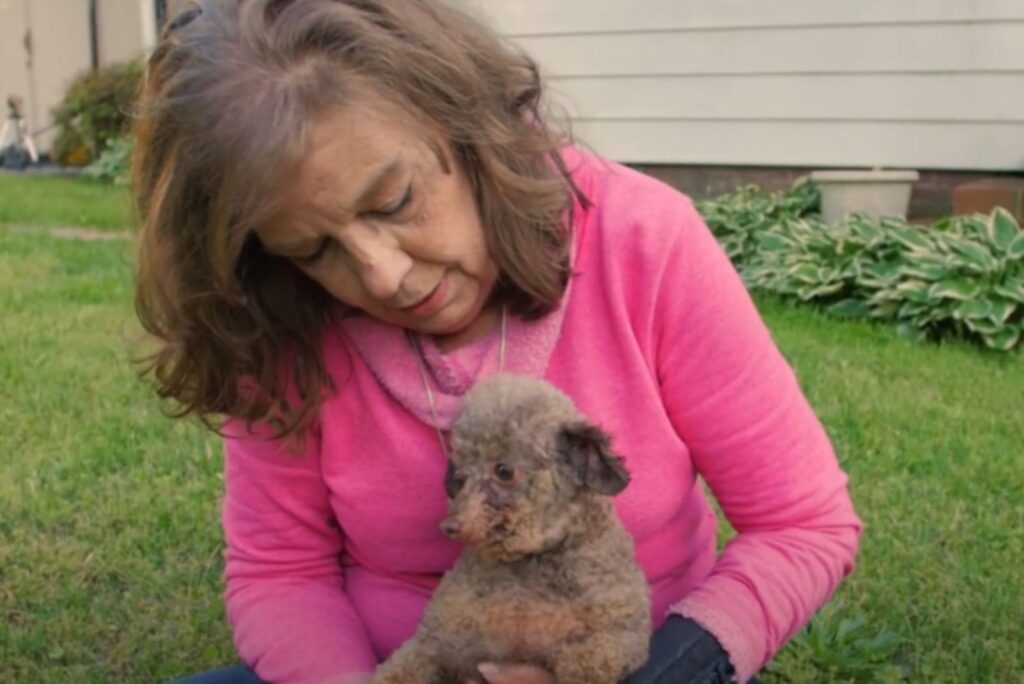 woman sitting on the grass with a dog on her lap