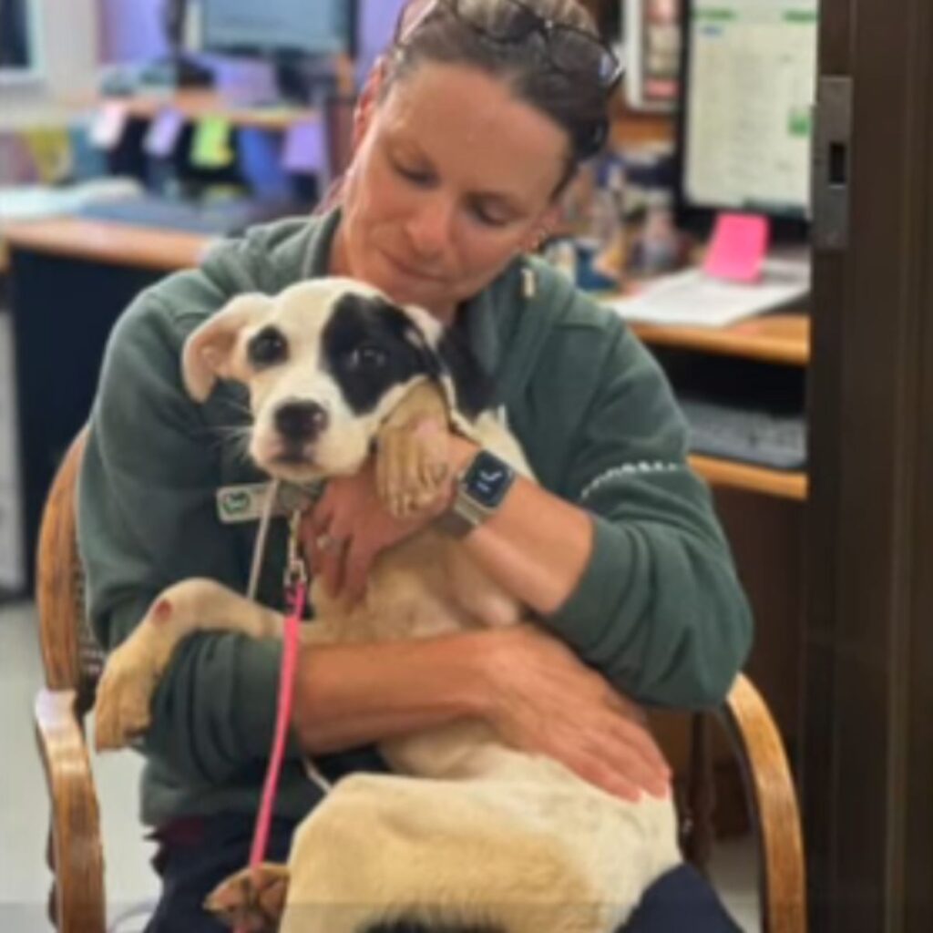 woman sitting with a dog in her arms