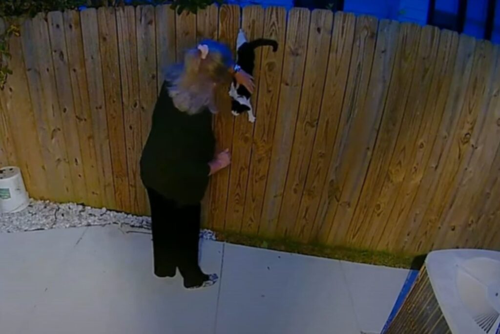 woman takes cat off fence