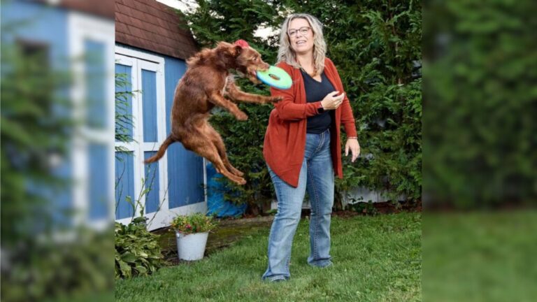 This NY Rat Terrier Is The World’s Cutest Rescue Dog And You Won’t Believe What He Can Do