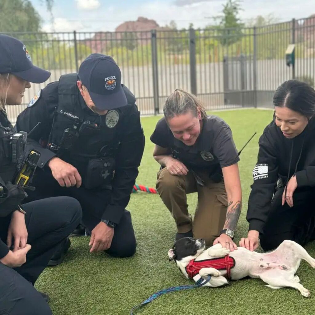 young police officers petting a dog
