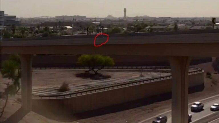 Arizona Driver Notices Odd Little ‘Speck’ On Highway And Pulls Over Immediately