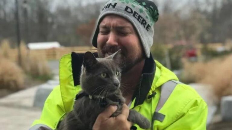 After Missing For 5 Long Months, Ohio Cat Comes Home To His Dad And Hearts Melt