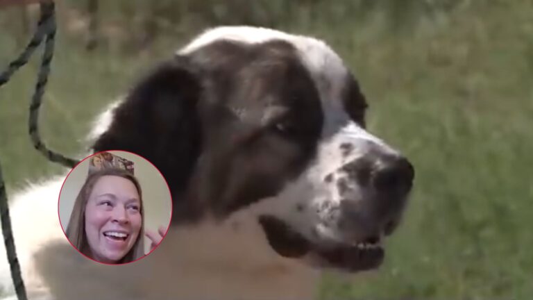 Two Years Of Heartbreak End In Tears Of Joy As Woman Reunites With Her Beloved Dog In Colorado