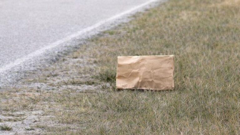 Man Pulls Over For A Paper Bag In North Carolina And His Heart Sinks At What’s Inside