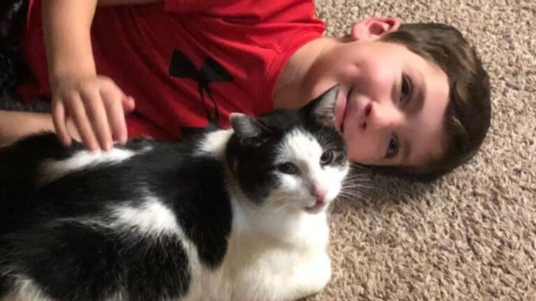 Oklahoma Boy With Rare Condition Meets A Cat With Same Traits And Magic Happens