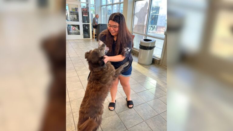Texas Shelter Staff In Tears Watching Lost Dog Return To Loving Arms Of His Mom