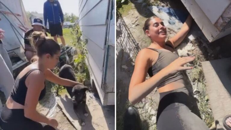 Michigan Couple Follows A Dog And Finds Her Most Precious Treasure Hidden Under A House