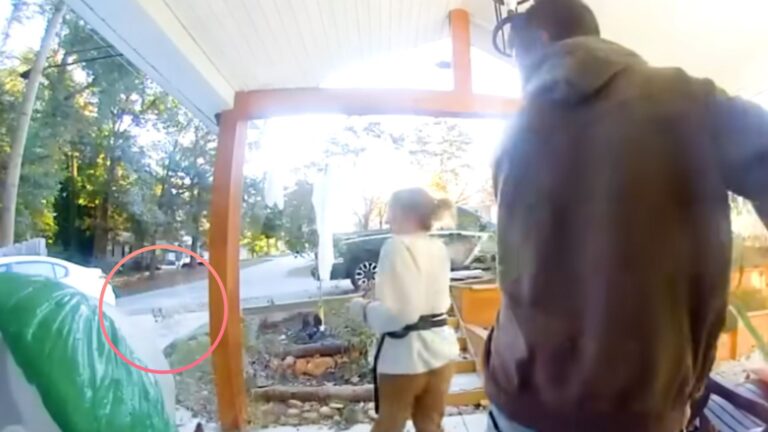 South Carolina Couple Braces For The Worst After Mysterious Gray Figure Runs Into Their Yard