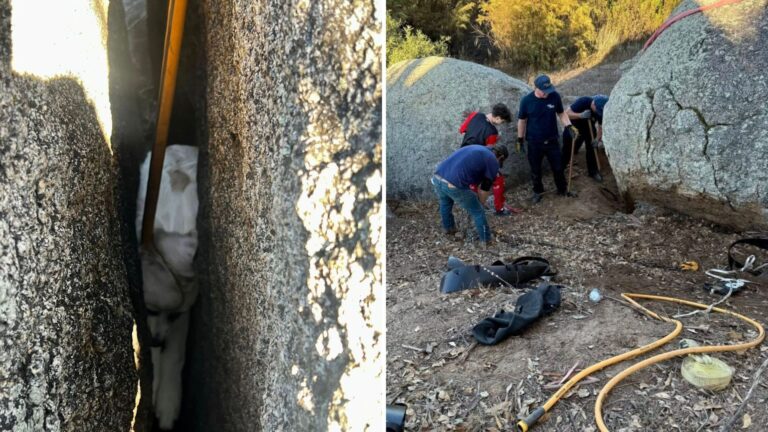 California Puppy Sparks Heart-Stopping Rescue After She Ends Up Stuck Between Two Giant Rocks