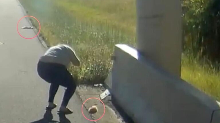 Texas Driver Makes A Sudden Stop After Seeing 2 Motionless Figures Lying By The Roadside