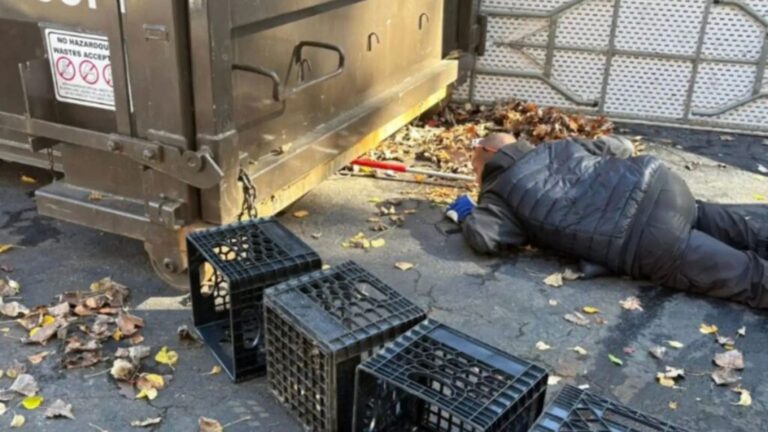 Fuzzy Face Peeking From Dumpster Sparks Urgent Rescue At Massachusetts Event Venue