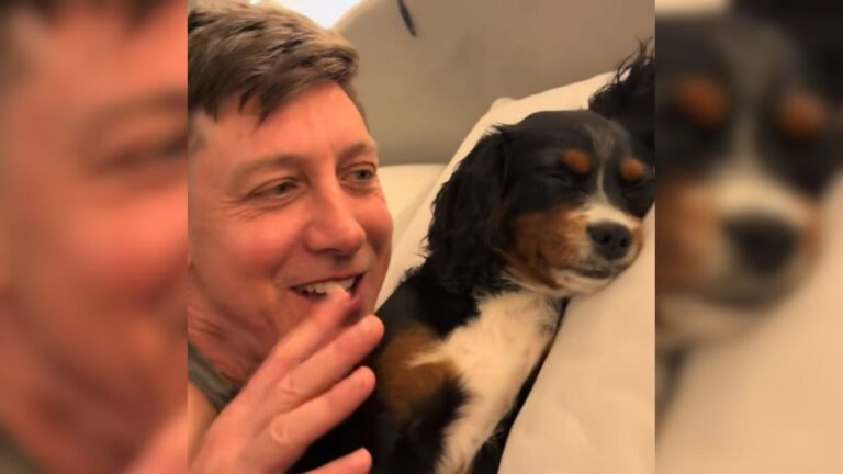 Florida Man Tries To Move His Dog To Her Own Bed, But She Delivers An Oscar-Worthy Performance