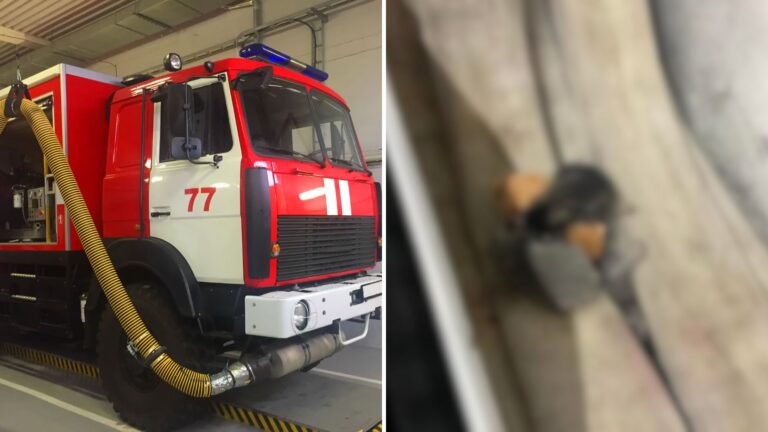 South Carolina Firefighter Checks Odd Sounds In Fire Hose And Is Stunned By What He Finds