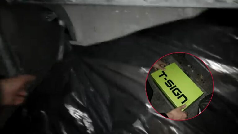 Texas Couple Follows Late-Night Cries From Dumpster And Finds A Tiny Miracle In A Shoebox