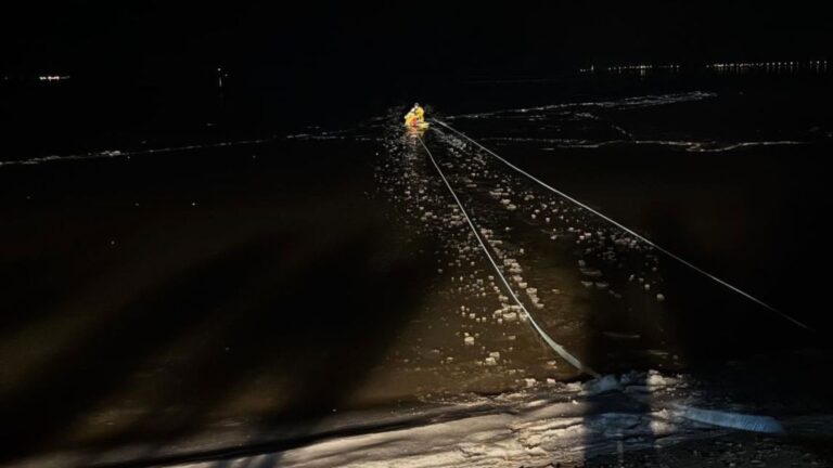 NY Locals See Struggling Creature Stuck On Frozen Bay And Realize Time Is Running Out