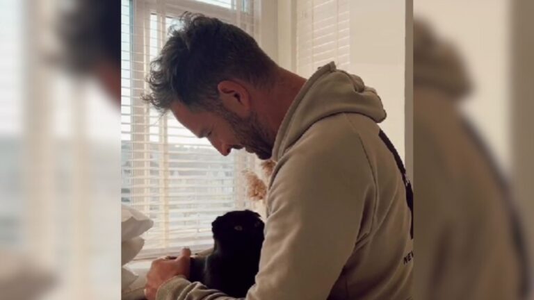 Georgia Cat With Painful Past Learns To Trust Again, Then Does Something That Stuns Her New Mom