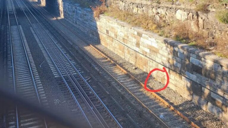 Woman Hears Desperate Cry Near NYC Station Tracks And Stumbles Upon Heartbreaking Scene
