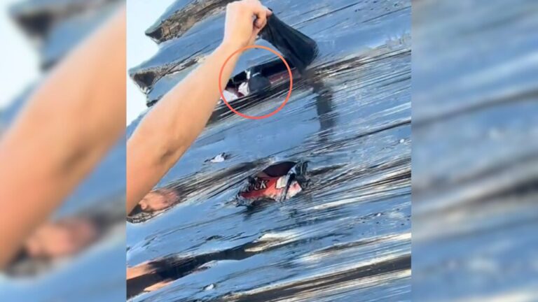 Michigan Couple Checks Wrapped Lava Rocks At Menards, Then Something Furry Jumps Out